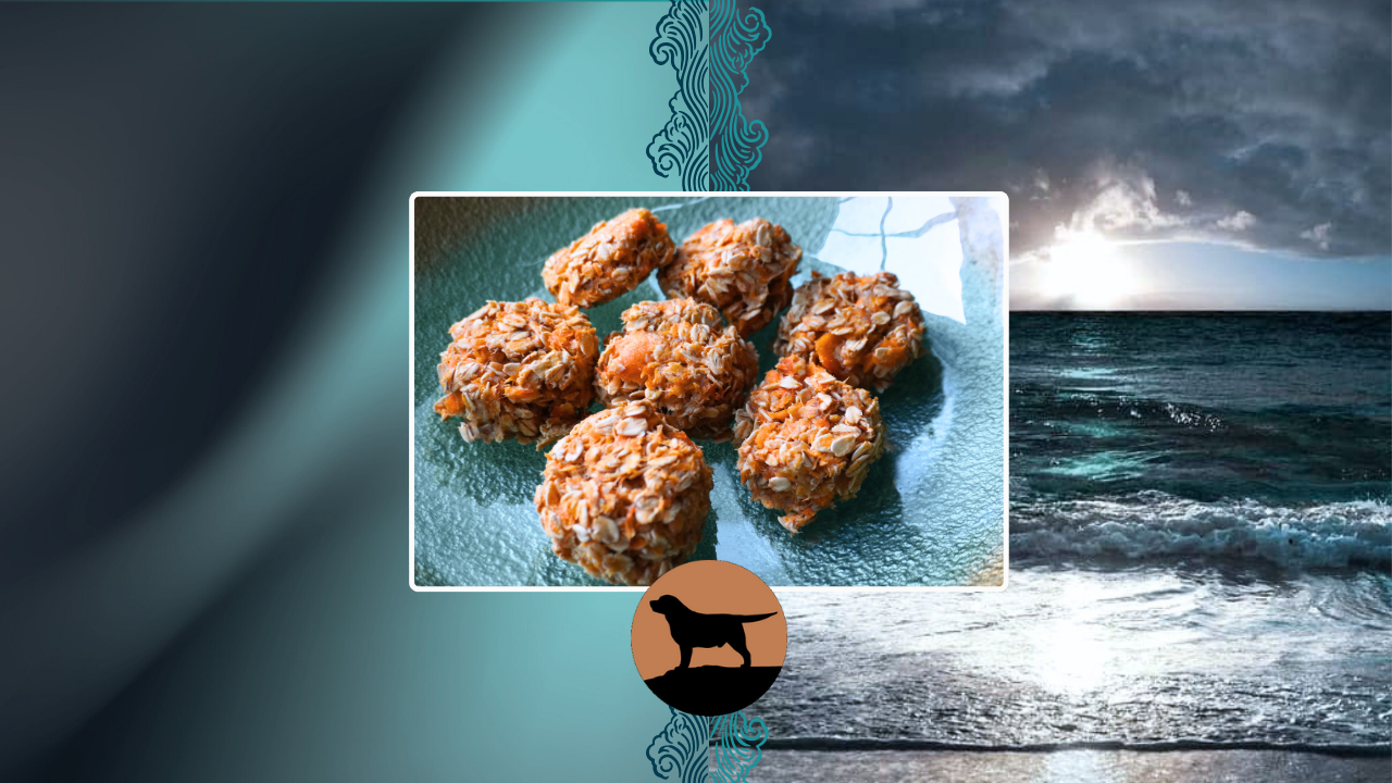Salmon Oat Cakes for Dogs