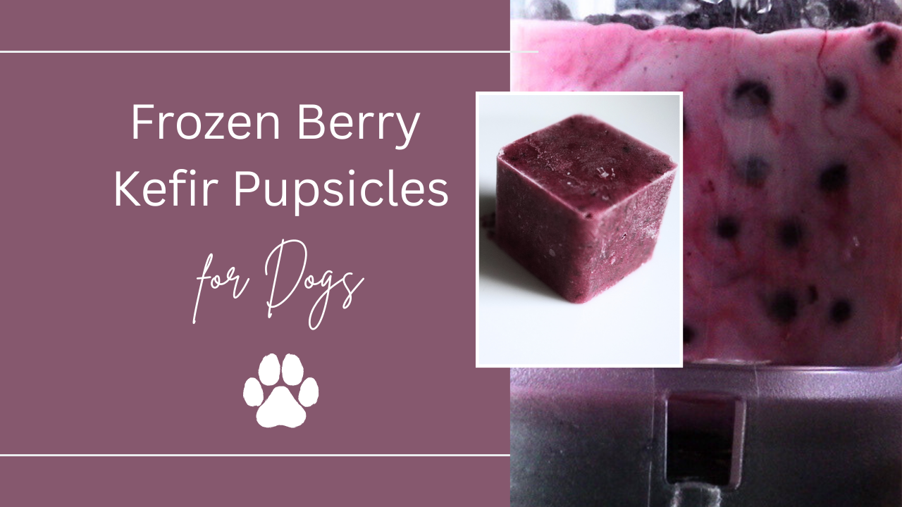 Frozen Berry Kefir Pupsicles for Dogs