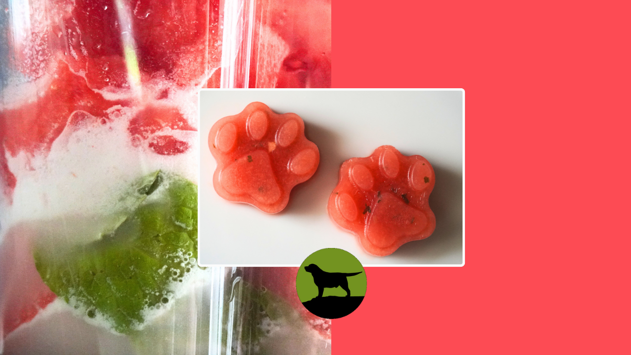 Watermelon and Coconut Pupsicles