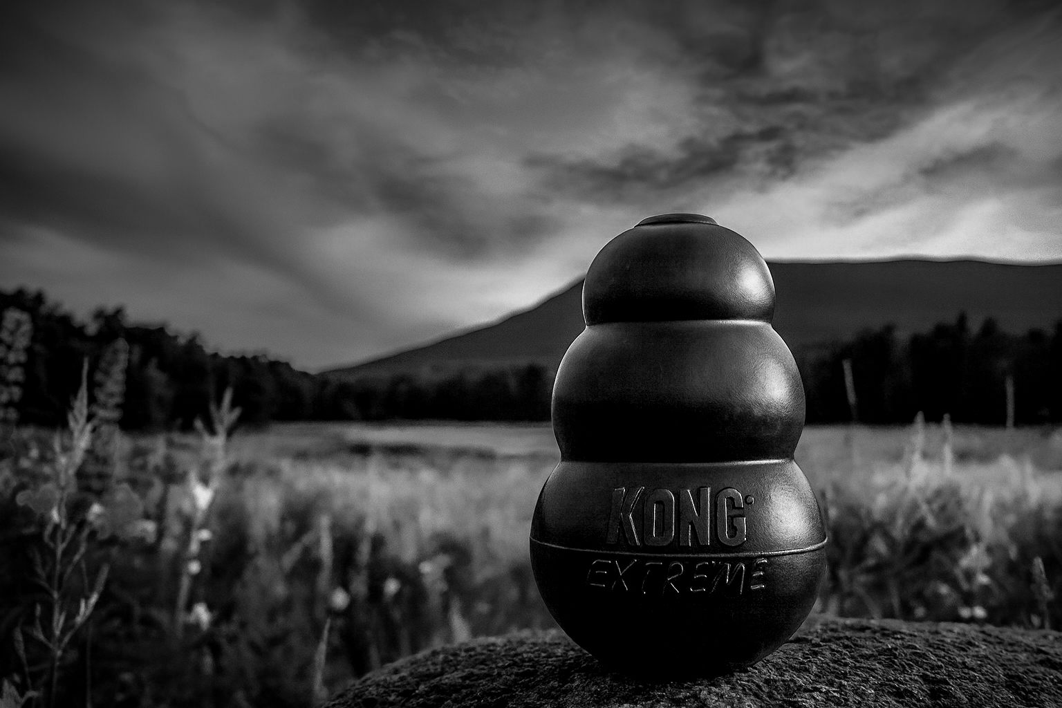 KONG Extreme Dog Toy