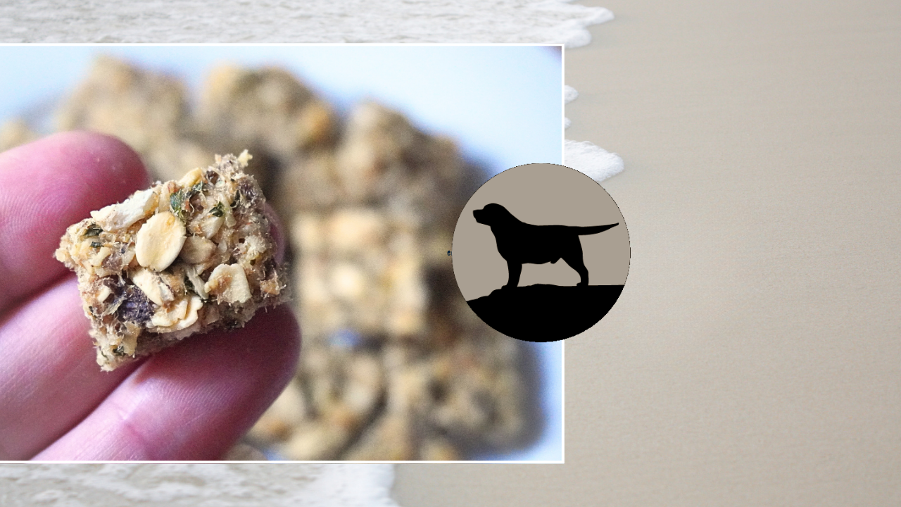 Cooling Sardine and Parsley Energy Bars for Dogs