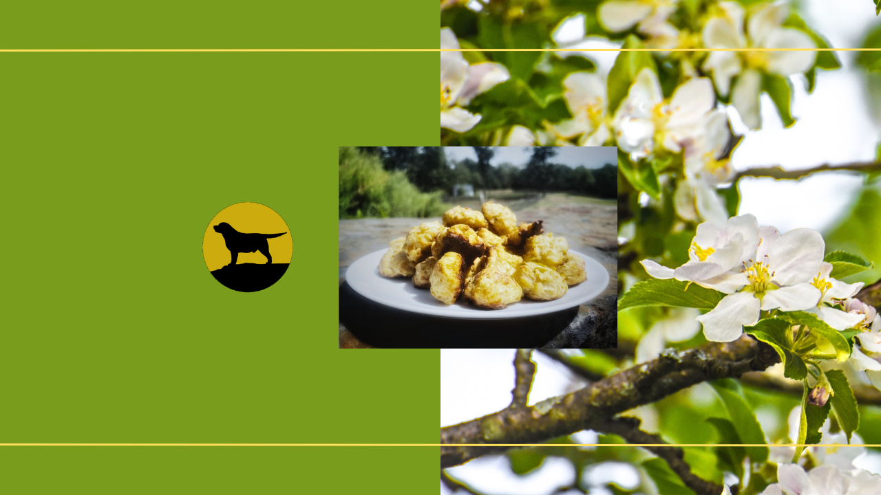 Autumn Harvest Bites for Labradors