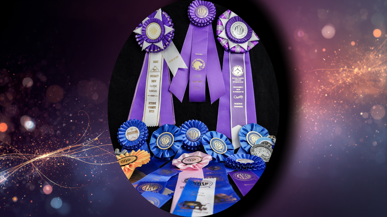 New AKC Champion — CH Overlook’s Over The Horizon